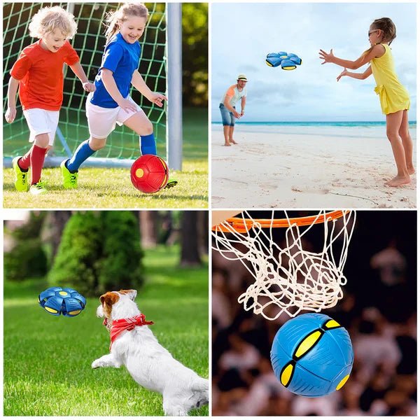 Brinquedo Voador para Cães com Função 2 em 1 - Mercado Maia