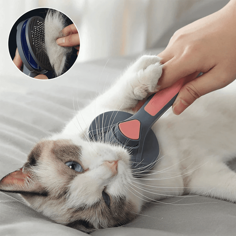 escova para remover pelos de cachorro, escova tira pelo de gato, removedor de pelo de cachorro, escova tira pelo cachorro, removedor de pelo de gato, escova para tirar pelo de gato, removedor de pelos pet roupa, removedor de pelos pet, melhor removedor de pelos de animais, escova removedora de pelos shopee, escova removedora de pelos roupas, escova removedora de pelos gato